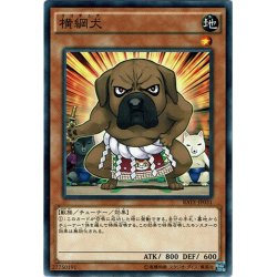 画像1: 【Normal】横綱犬[YGO_RATE-JP031]