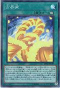 【Super Parallel】方界業[YGO_20TH-JPC49]