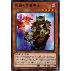 画像1: 【Normal】熟練の栗魔導士[YGO_BACH-JP024]