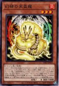 【Rare】幻禄の天盃龍[YGO_INFO-JP019]