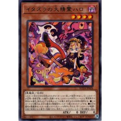 画像1: 【Rare】イタズラの大精霊ハロ[YGO_SUDA-JP026]