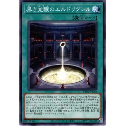 画像1: 【Normal】黒き覚醒のエルドリクシル[YGO_TT01-JPC06]