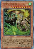【Ultimate】天雷ノ双風神 シーナ[YGO_BPRO-JP027]