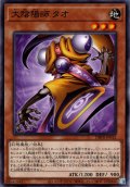 【N-Parallel】大陰陽師 タオ[YGO_DBPR-JP012]