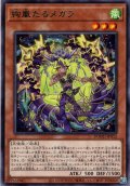 【Rare】絢嵐たるメガラ[YGO_DOOD-JP012]