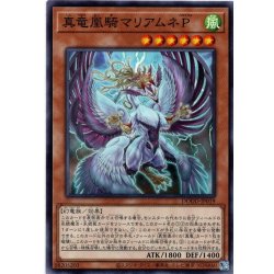 画像1: 【Normal】真竜凰騎マリアムネＰ[YGO_DOOD-JP019]