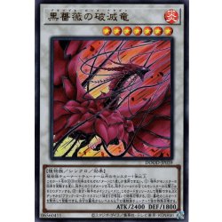 画像1: 【Ultra】黒薔薇の破滅竜[YGO_DOOD-JP039]