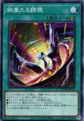 【Normal】絢嵐たる顕現[YGO_DOOD-JP062]