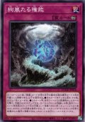 【Normal】絢嵐たる権能[YGO_DOOD-JP076]