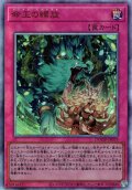 【Ultimate】命王の螺旋[YGO_DOOD-JP079]