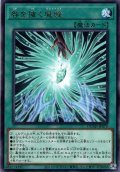 【Rare】咎を擁く魔瞳[YGO_DUAD-JP070]