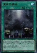 【Ultra】真帝王領域[YGO_DUAD-JPS19]