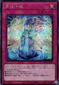 【Secret】再世十戒[YGO_DUAD-JP077]