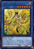 【Rare】オオヒメの御巫[YGO_TTP1-JP063]