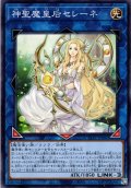 【Normal】神聖魔皇后セレーネ[YGO_TTP1-JP080]