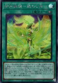 【Secret】御巫舞踊－迷わし鳥[YGO_TTP1-JP071]