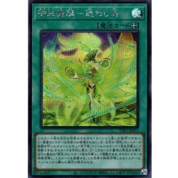 画像1: 【Secret】御巫舞踊－迷わし鳥[YGO_TTP1-JP071]