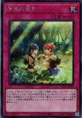 【Secret】御巫の契り[YGO_TTP1-JP073]