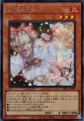 【Secret】灰流うらら[YGO_TTP1-JP078]
