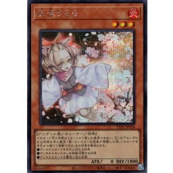 画像1: 【Secret】灰流うらら[YGO_TTP1-JP078]