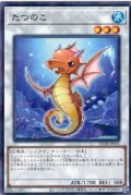 【N-Parallel】たつのこ[YGO_25DB-JP035]