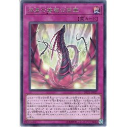 画像1: 【Rare】漆黒の薔薇の開華[YGO_DP21-JP027]