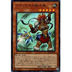 画像1: 【Super】アマゾネスの戦士長[YGO_DP27-JP032]