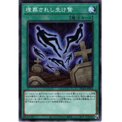 画像1: 【Millennium】埋葬されし生け贄[YGO_PGB1-JP043]