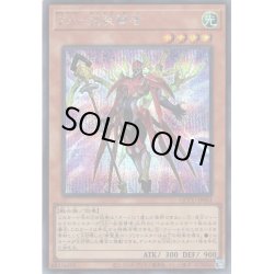 画像1: 【Secret】ZS－武装賢者[YGO_QCCU-JP063]
