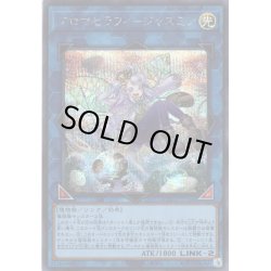 画像1: 【Secret】アロマセラフィ－ジャスミン[YGO_QCCU-JP166]