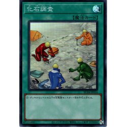 画像1: 【Collectors】化石調査[YGO_RC04-JP054]