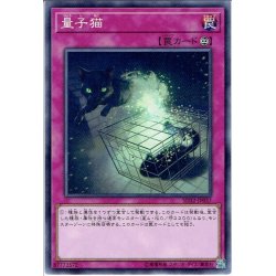 画像1: 【Normal】量子猫[YGO_SD32-JP037]