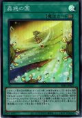 【Super】蟲惑の園[YGO_SD45-JP023]