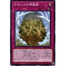 画像1: 【Normal】ナチュルの神星樹[YGO_SD45-JP037]