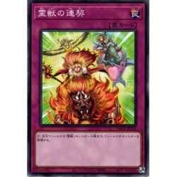 画像1: 【N-Parallel】霊獣の連契[YGO_TW01-JP143]