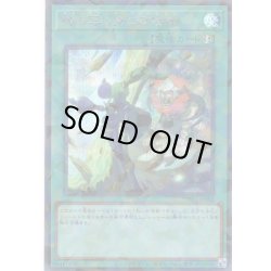 画像1: 【Secret-Parallel】神の写し身との接触[YGO_TW03-JP082]