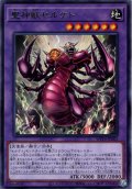 【Rare】聖神獣セルケト[YGO_WPP6-JP005]