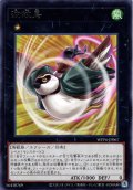 【Rare】波紋鳥[YGO_WPP6-JP067]