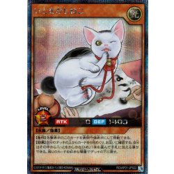 画像1: 【Secret】いとをかしねこ[YGO_RD/AP01-JP022]