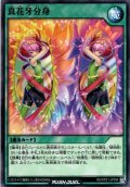 【Normal】真花牙分身[YGO_RD/KP21-JP054]