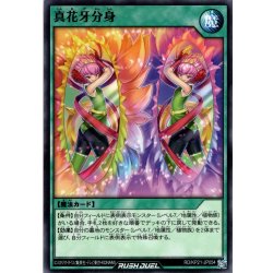 画像1: 【Normal】真花牙分身[YGO_RD/KP21-JP054]