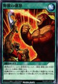 【Normal】野獣の激怒[YGO_RD/ORP3-JP078]