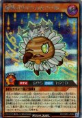 【Secret】惑精のサタンカモミール[YGO_RD/ORP3-JP048]