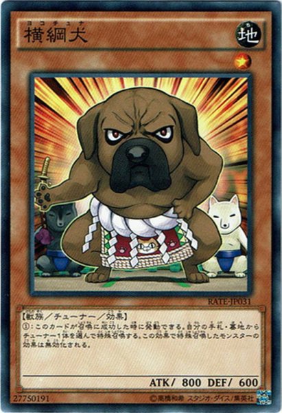 画像1: 【Normal】横綱犬[YGO_RATE-JP031] (1)