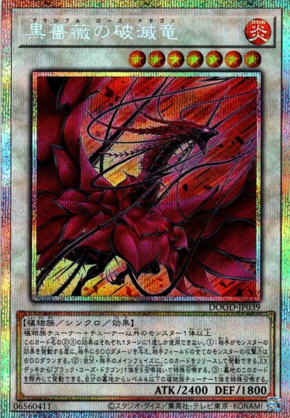 画像1: 【P-Secret】黒薔薇の破滅竜[YGO_DOOD-JP039] (1)