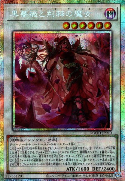 画像1: 【P-Secret】黒薔薇と荊棘の魔女[YGO_DOOD-JP040] (1)