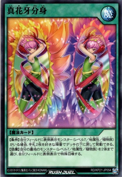 画像1: 【Normal】真花牙分身[YGO_RD/KP21-JP054] (1)